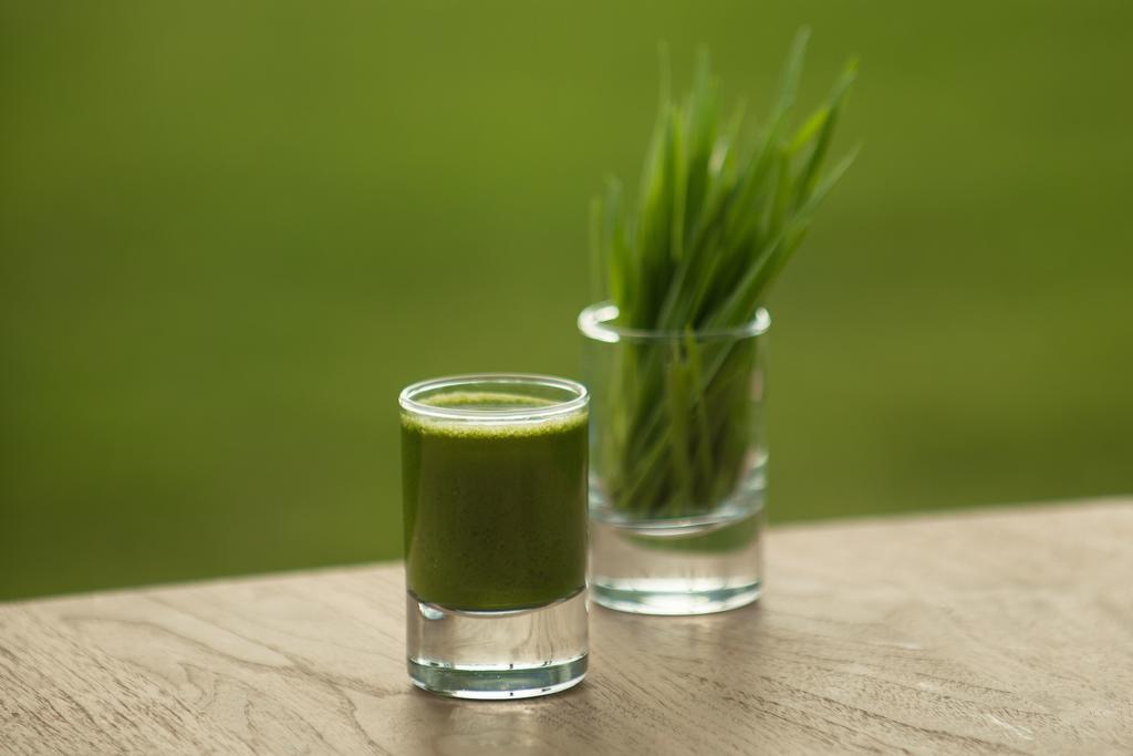 The Lifeco Bodrum Well-Being Detox Center And Vegan Hotel (Adults Only) Golturkbuku Bilik gambar